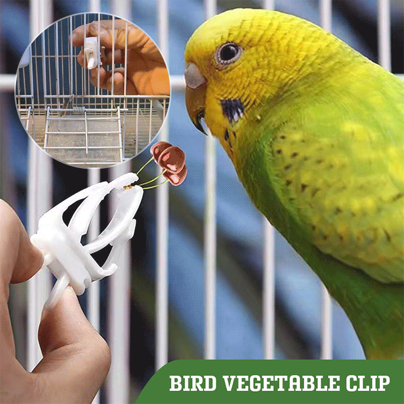 Parrot Fruit And Vegetable Tongs（2pcs)