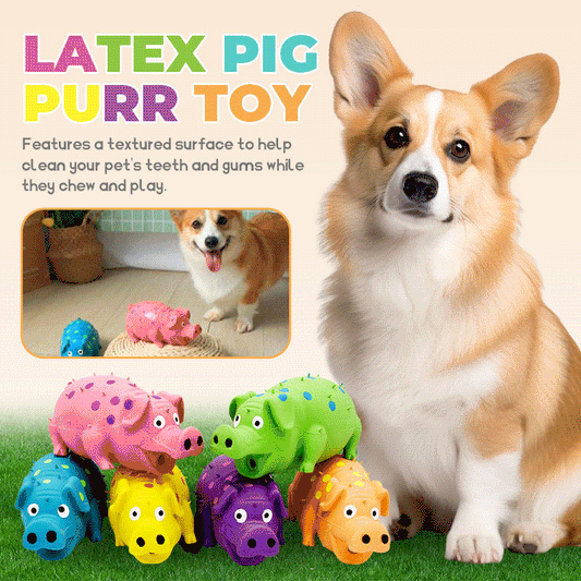 Latex Pig Purr Toy