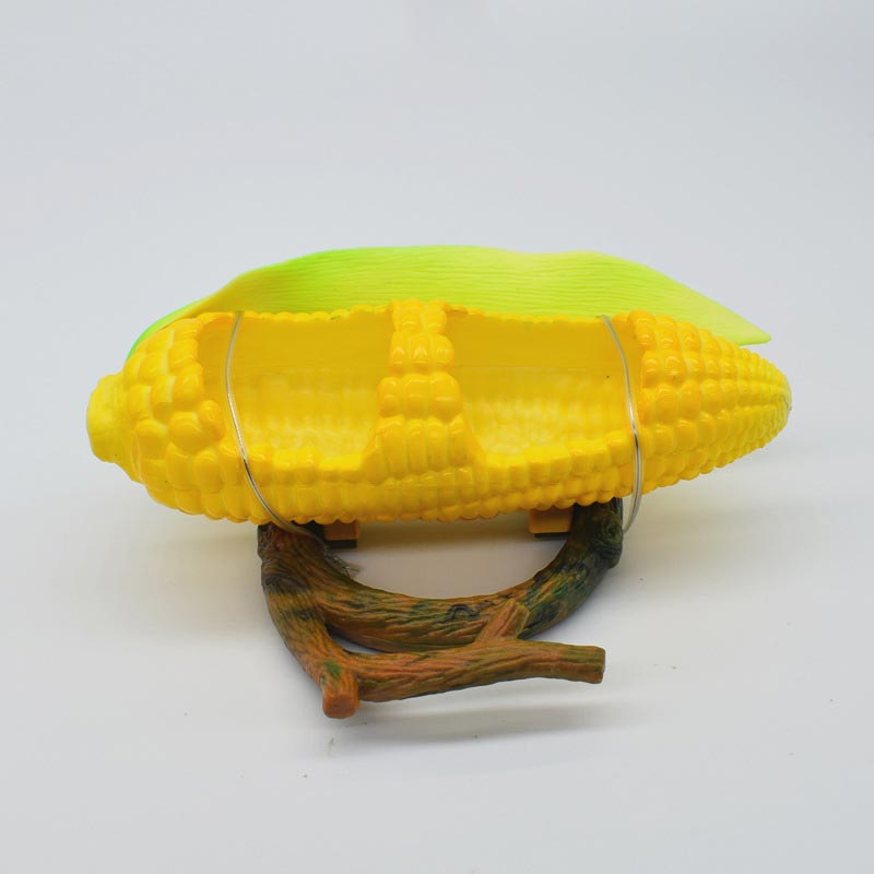 Creative Parrot Fruit Food Box