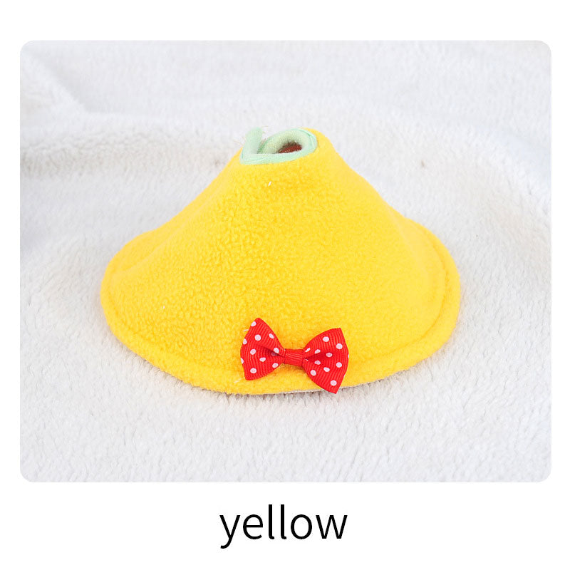 Parrot Bib Cloak🦜