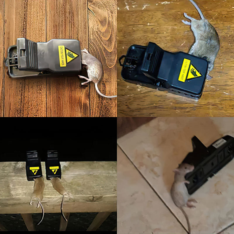 ✨2023 Nouvelle Piège à Souris Rapide et Efficace, Sécuritaire et Sanitaire