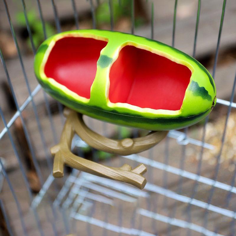 Creative Parrot Fruit Food Box