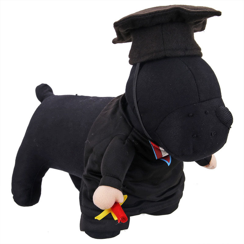 Pet Funny Transformation Costume