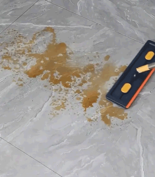 Großer Flachmop Im Neuen Stil