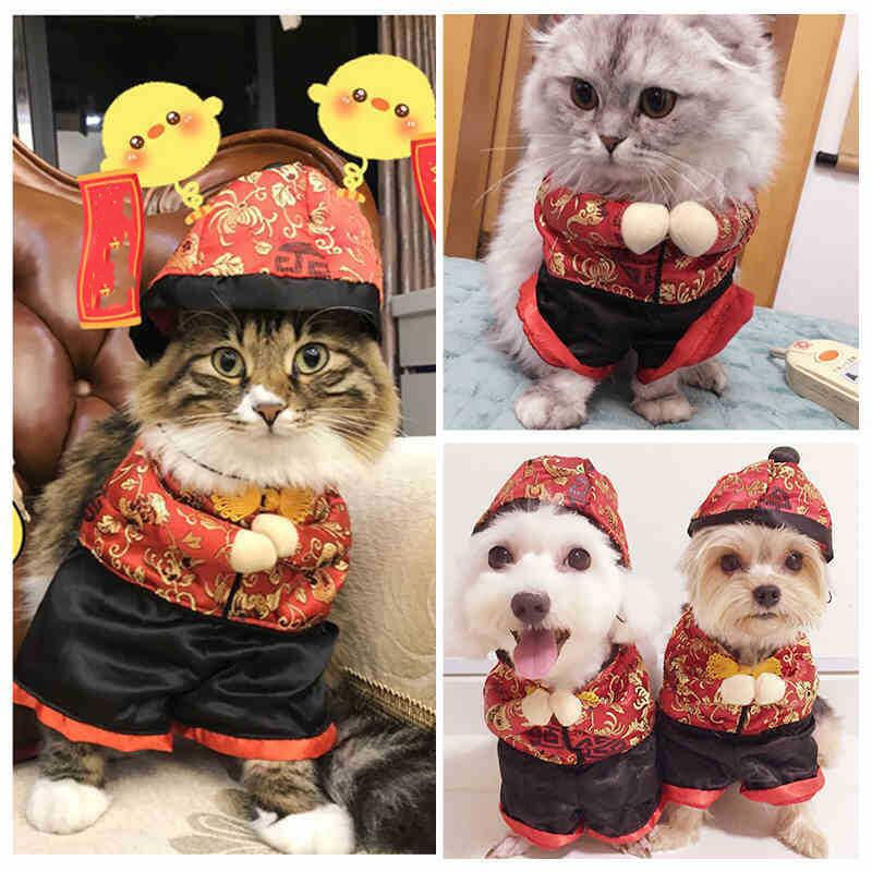 Pet Funny Transformation Costume