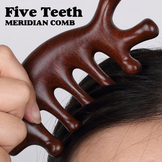 Five Teeth Meridian Comb