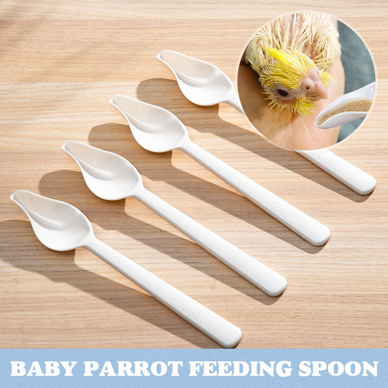 Baby Parrot Feeding Spoon