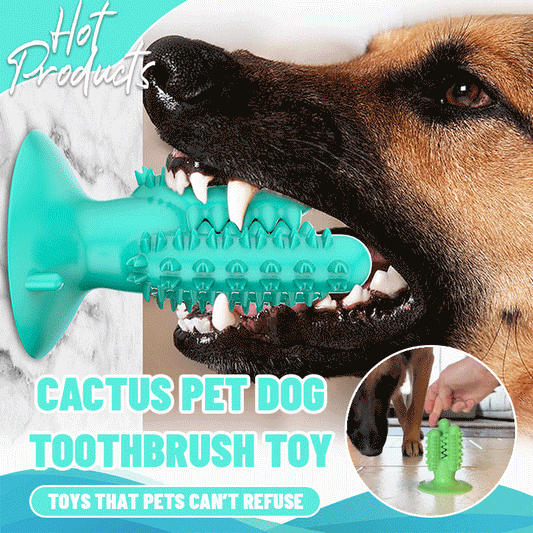 Cactus Pet Dog Toothbrush Toy