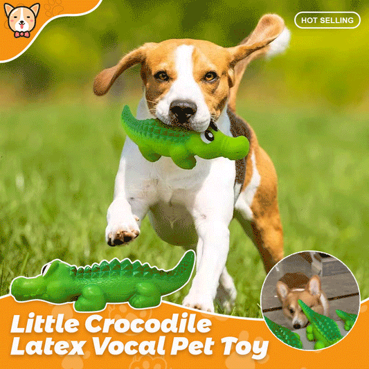 Little Crocodile Latex Vocal Pet Toy