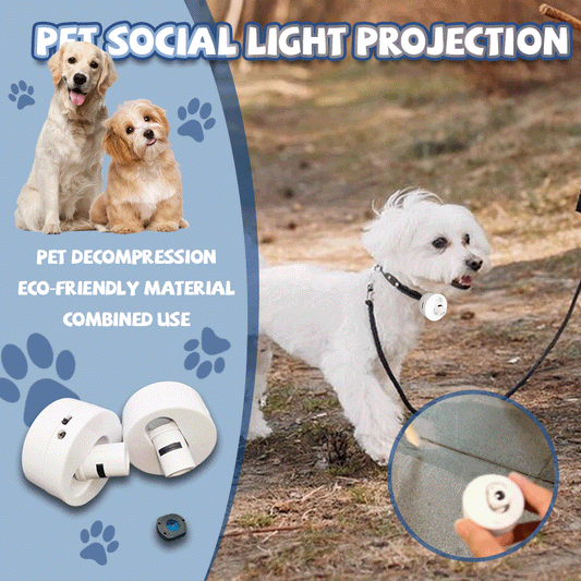 Pet Social Light Projection