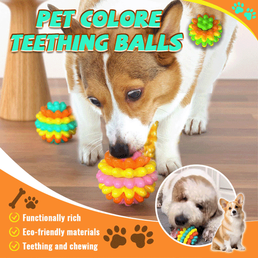 🐾Pet Colored Teething Balls