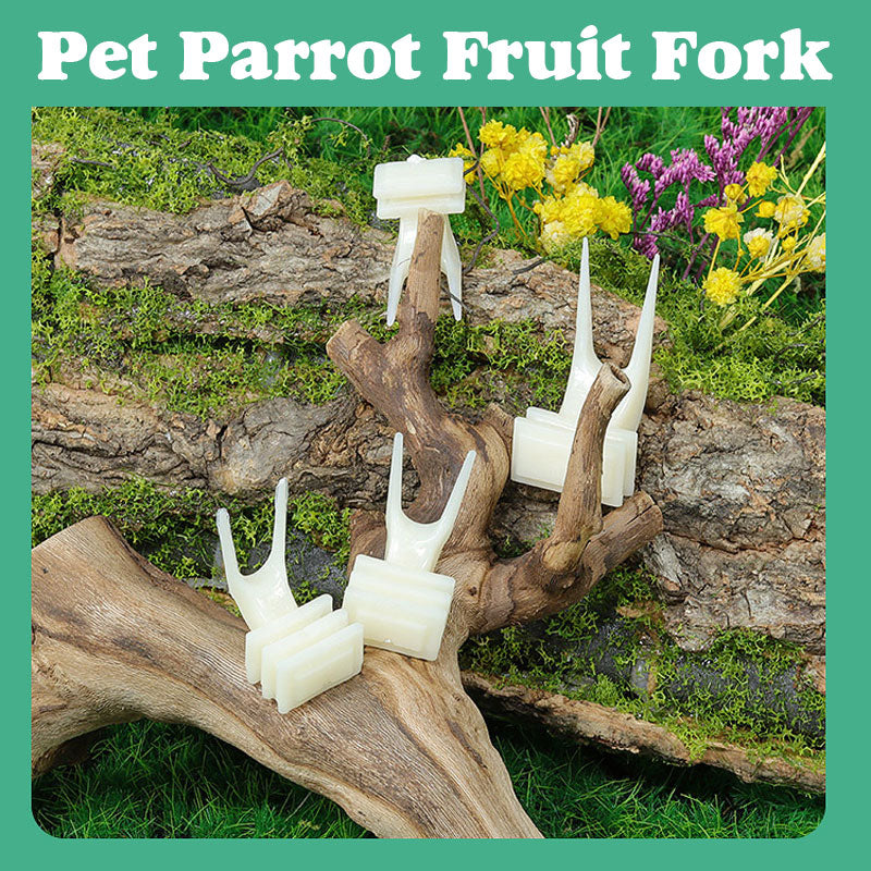 Pet Parrot Fruit Fork