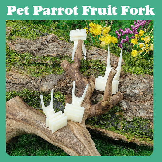 Pet Parrot Fruit Fork