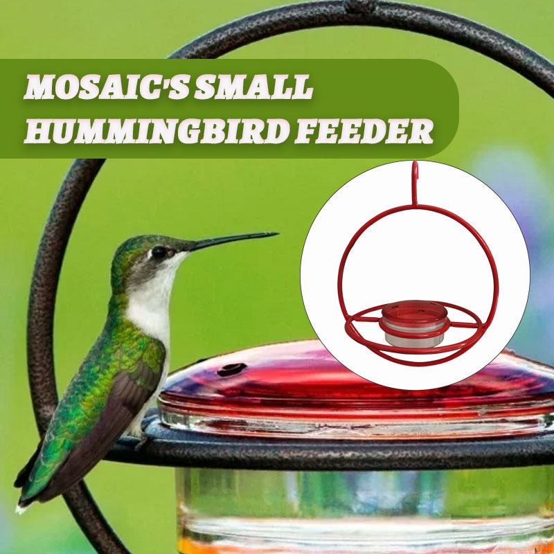 Mosaic's Small Hummingbird Feeder