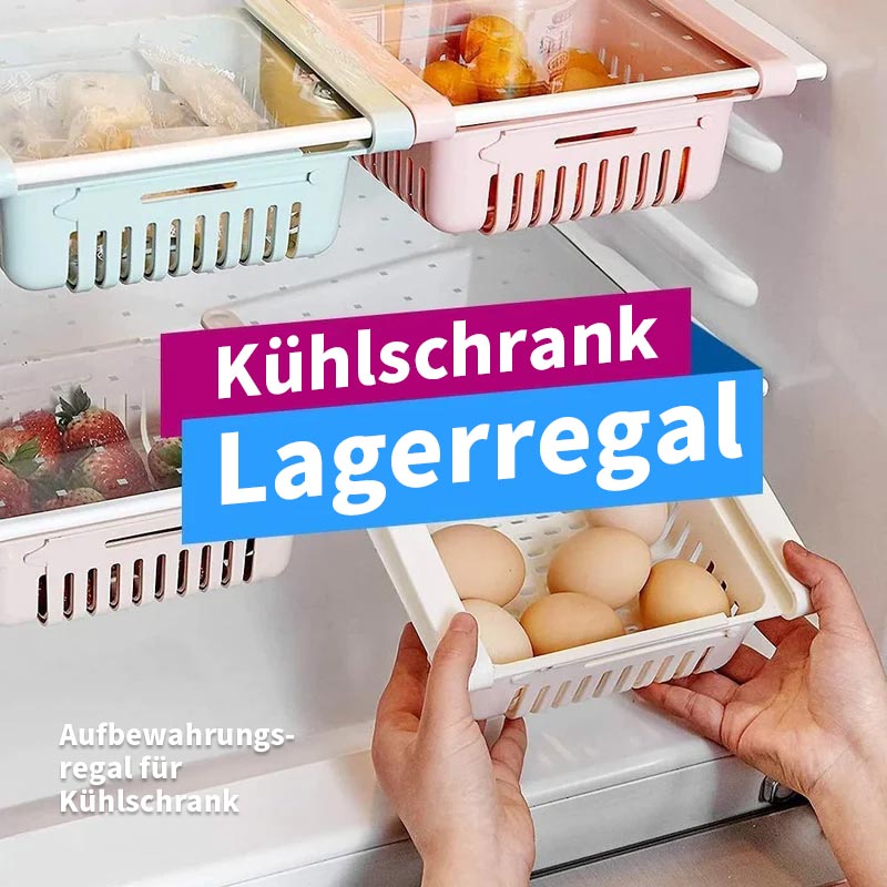 Aufbewahrungsregal für Kühlschrank / Fridge storage rack