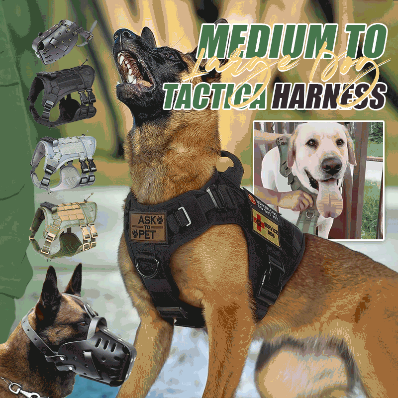 Medium To Large Dog Tactical Harness