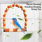 Parrot Chewing Standing Hanging Swing Toy