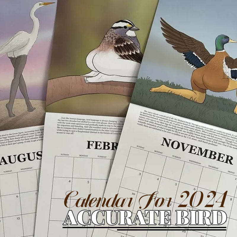 Accurate Bird Calendar For 2024