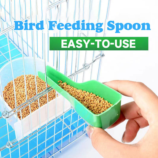 Easy-To-Use Bird Feeding Spoon