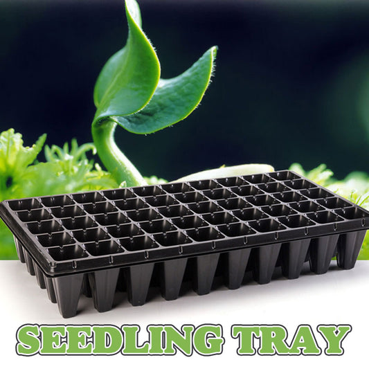 Seedling Tray🌱