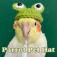 Parrot Pet Hat