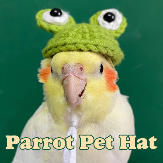 Parrot Pet Hat