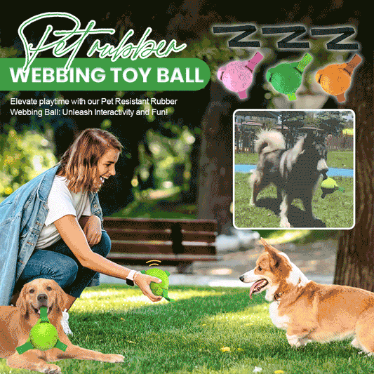 🐾Pet Rubber Webbing Toy Ball