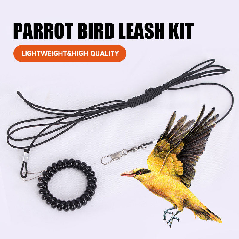 Parrot Bird Leash Kit
