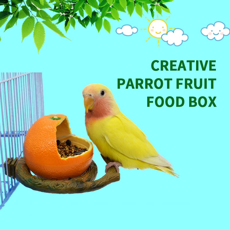 Creative Parrot Fruit Food Box