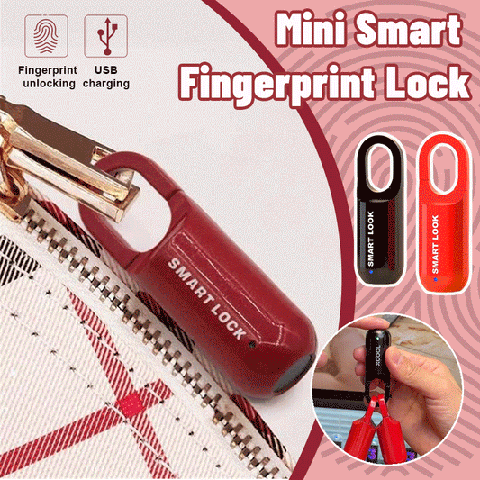 Mini Smart Fingerprint Lock