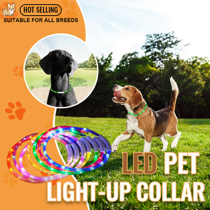 LED Pet Light-Up Collar