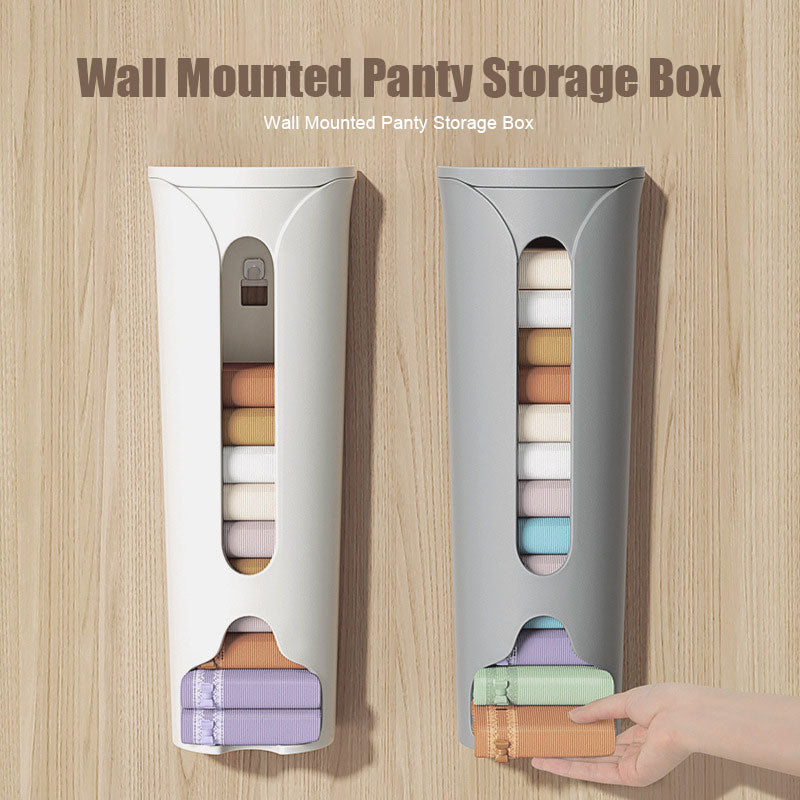 Wall Mounted Panty Storage Box