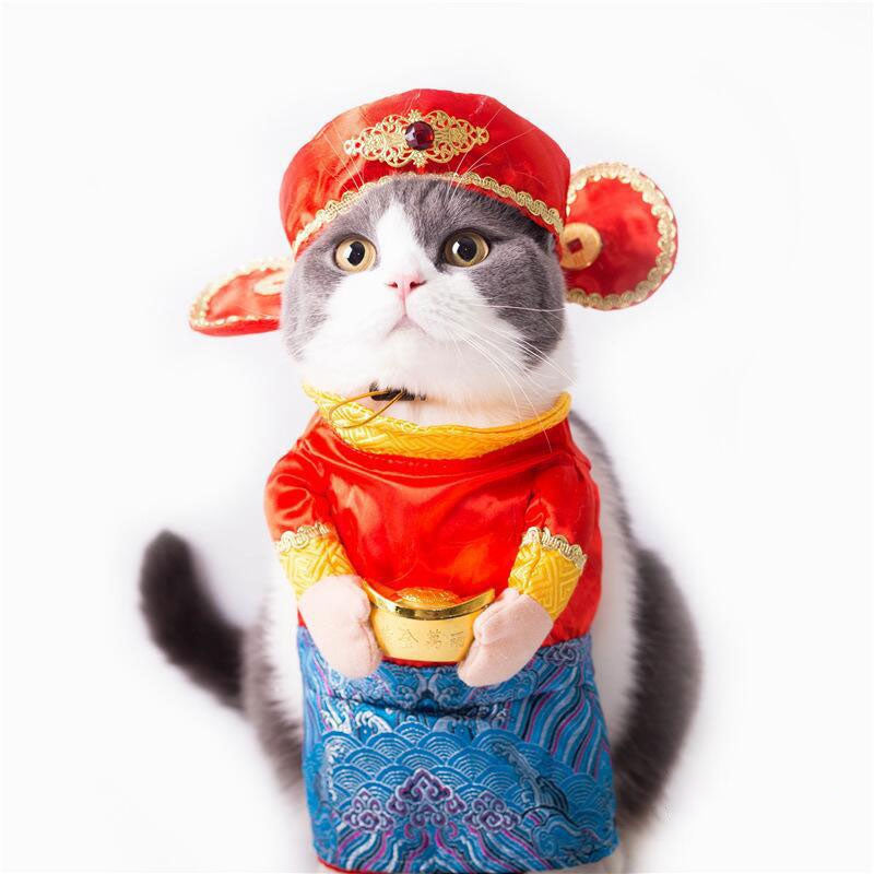 Pet Funny Transformation Costume