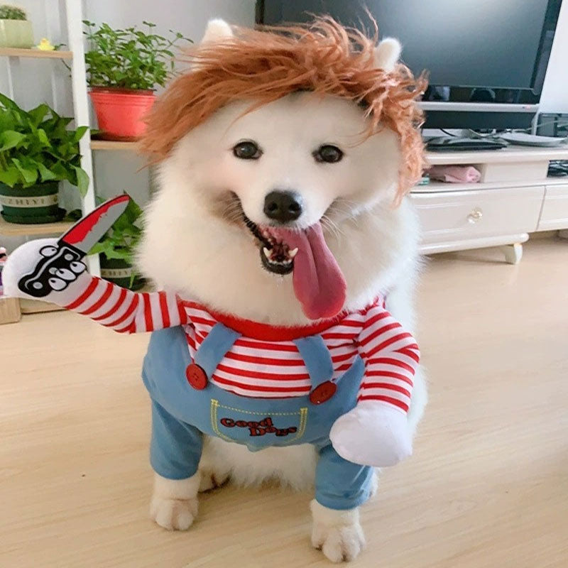 Pet Funny Transformation Costume