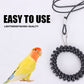 Parrot Bird Leash Kit