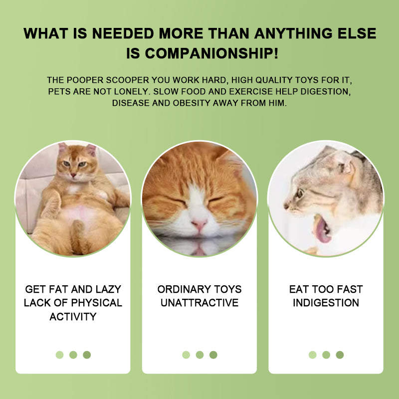 Funny Cat Robot Toy（No Lollipops）