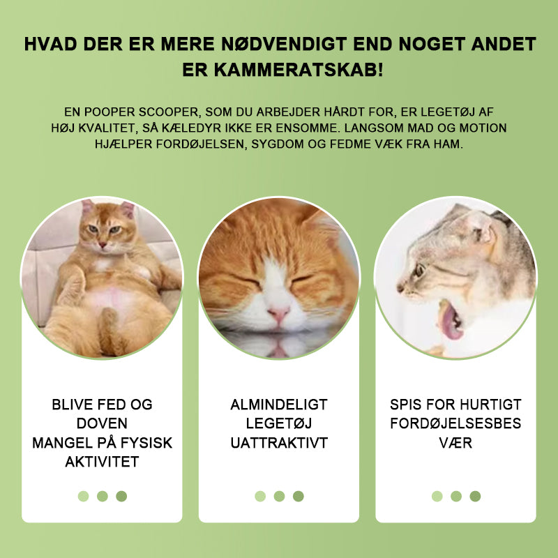 Sjovt Katterobotlegetøj (Ingen Slikkepind)