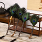 Peacock Feather Duster