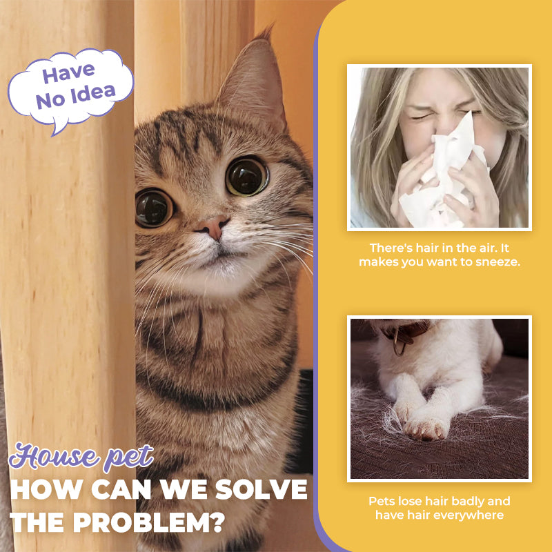 Pet Double-Sided Hair Removal Gloves