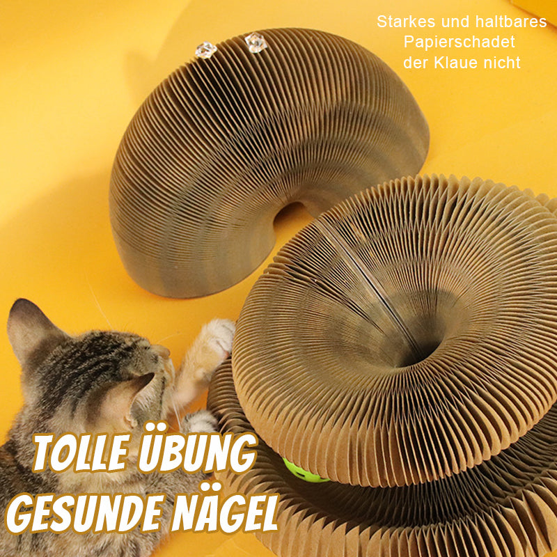 Organ-Katzenpfoten-Brettspielzeug/Fun cat scratching post