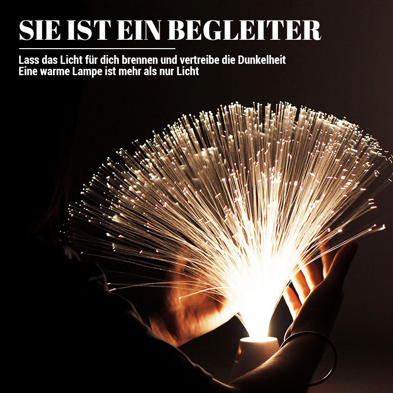 Glasfaserlicht Sternenhimmel Nachtlicht/Fiber optic starry night light