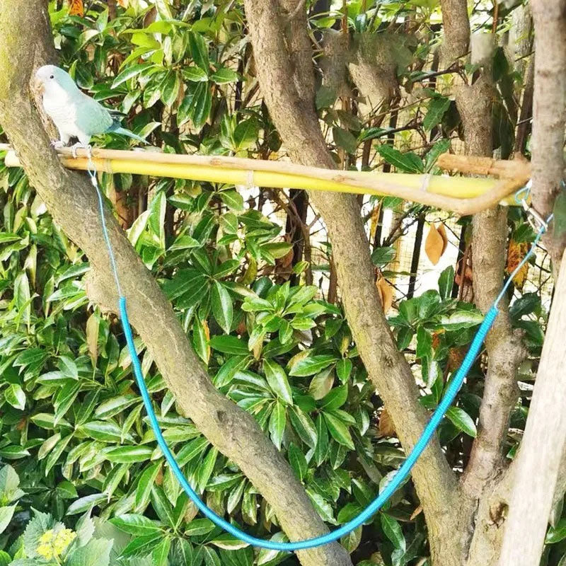 Parrot Flying Leash