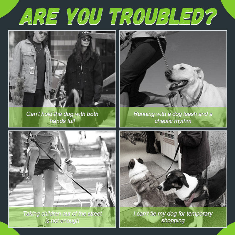 Explosion-Proof Punch Retractable Pet Leash