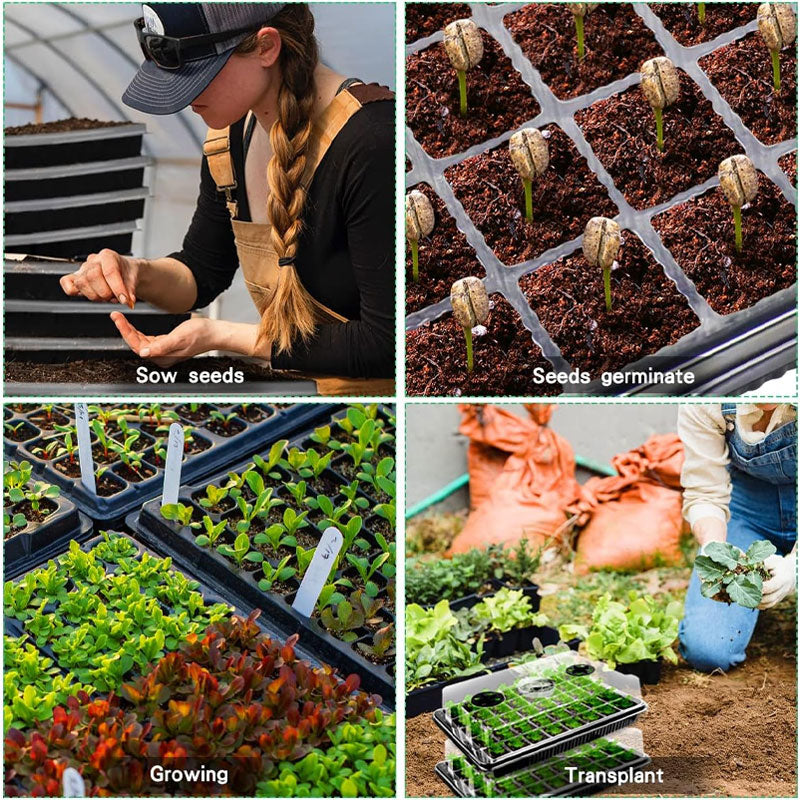 Seedling Tray🌱