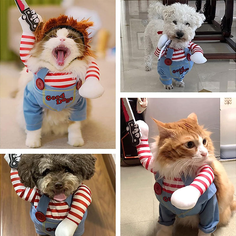 Pet Funny Transformation Costume