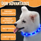 LED Pet Light-Up Collar