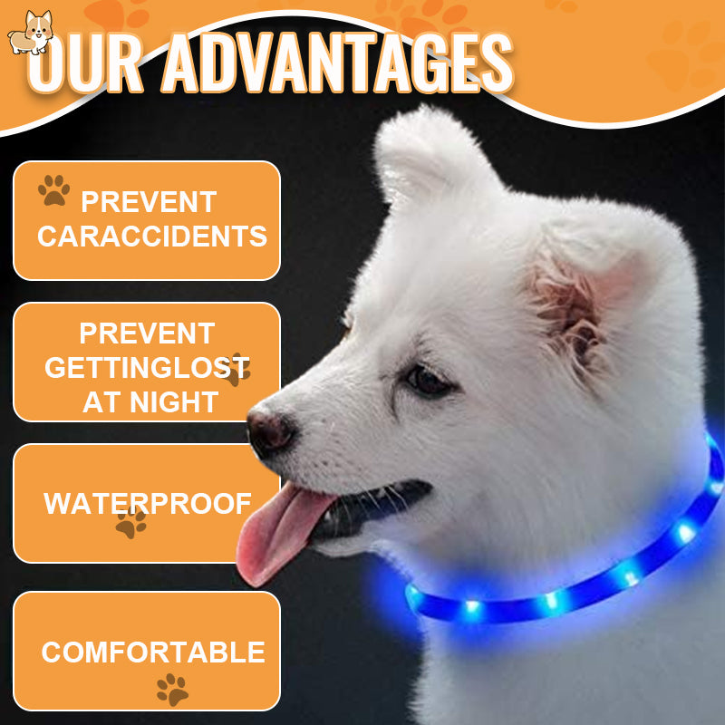 LED Pet Light-Up Collar