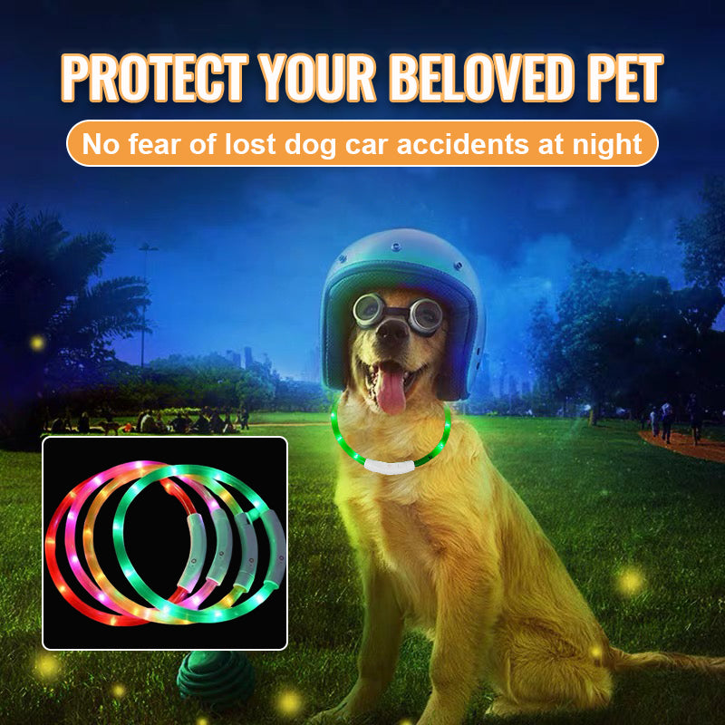 LED Pet Light-Up Collar