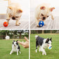 Pet Teeth Grinding Sound Toy Ball