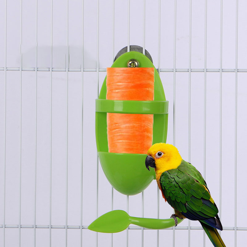 Can Put Cuttlefish Skeleton Food Box